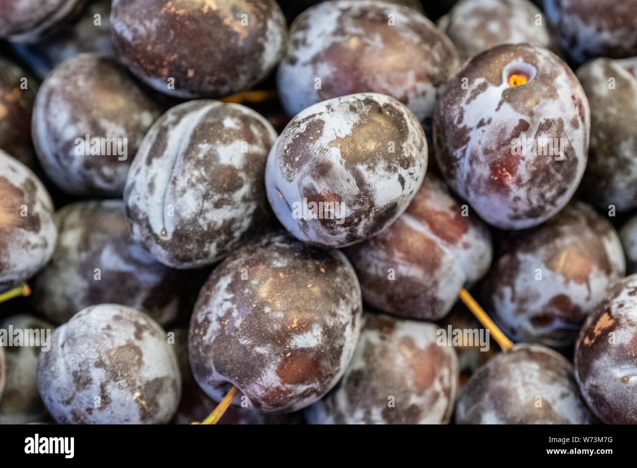 Contatore nero con prugne in negozio, susine al supermercato. Susine mature close-up borsa. Foto Stock