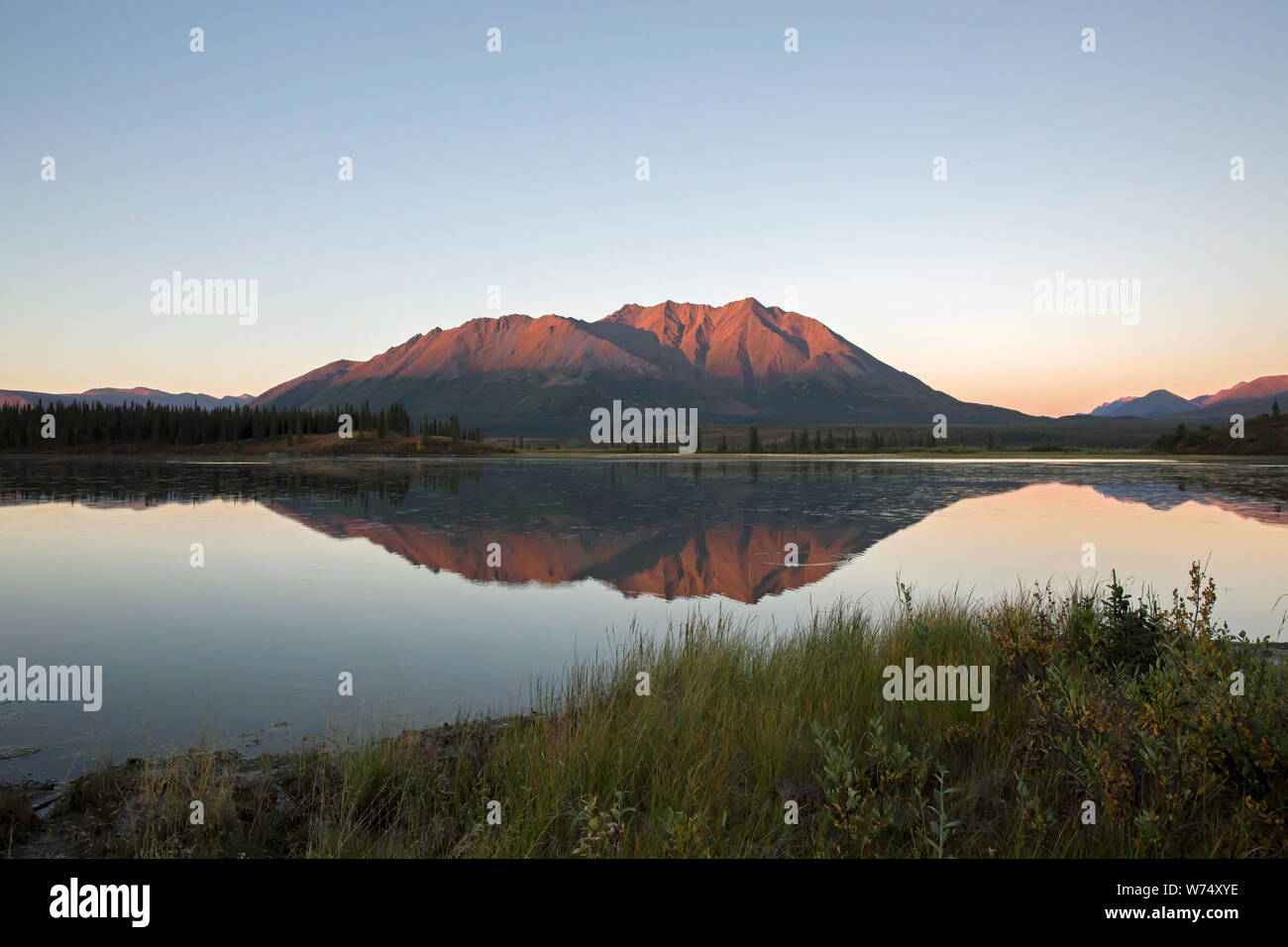 Riflessione serale in un lago lungo la Denali Highway, Alaska Foto Stock