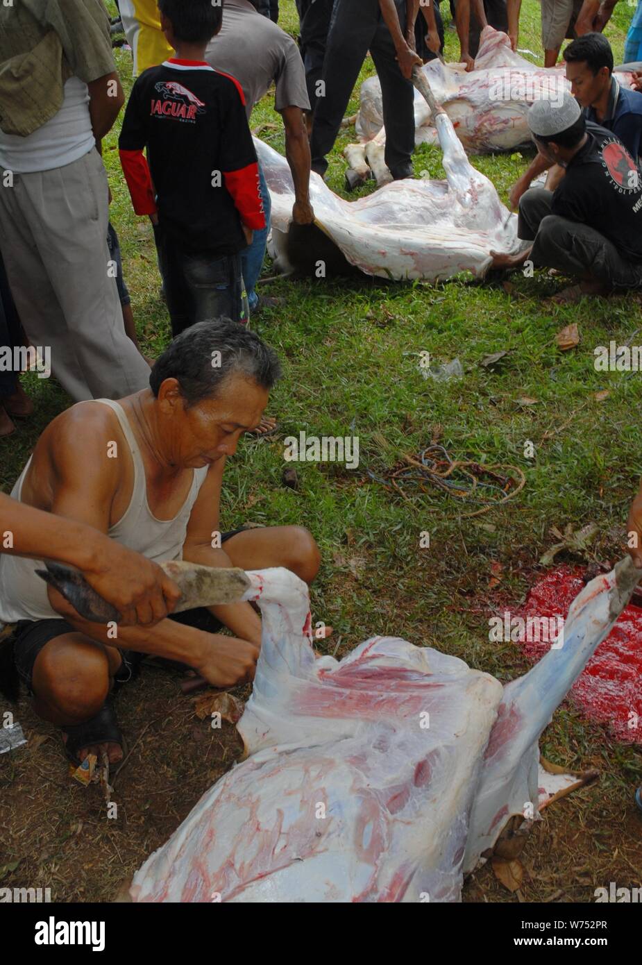 Bogor, West Java, Indonesia - Agosto 2019 : Alcuni lavoratori volontari tagliare e tritare l'agnello sacrificale carne in un paese sottosviluppato. Foto Stock