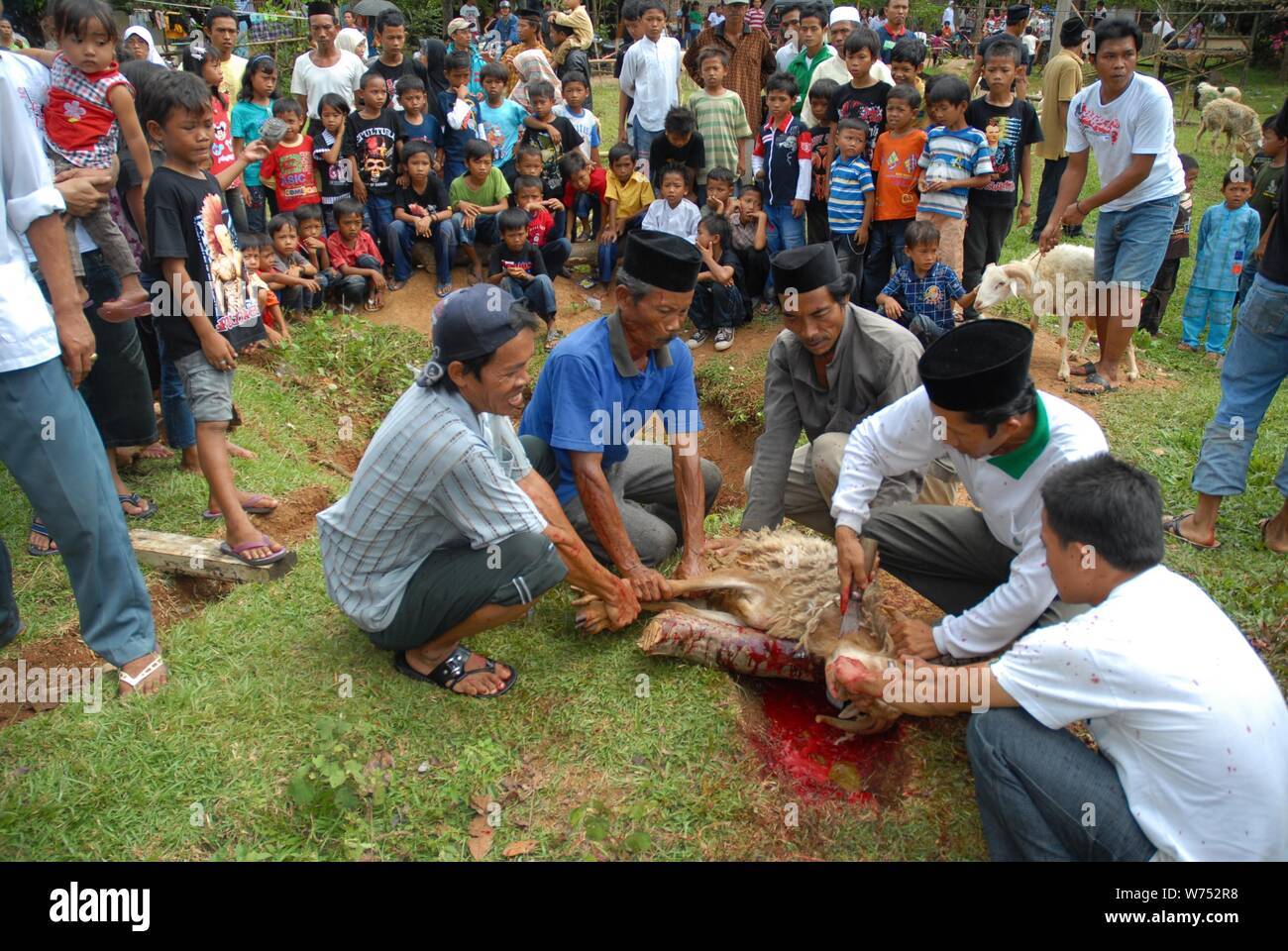 Bogor, West Java, Indonesia - Agosto 2019 : un gruppo di volontari tradizionalmente una macellazione sacrifical agnello in un paese sottosviluppato. Foto Stock