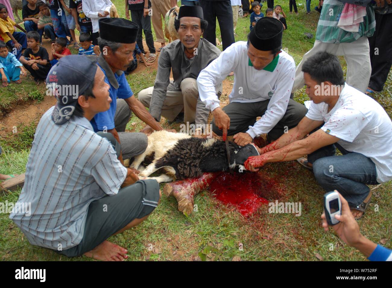 Bogor, West Java, Indonesia - Agosto 2019 : un gruppo di volontari tradizionalmente una macellazione sacrifical agnello in un paese sottosviluppato. Foto Stock