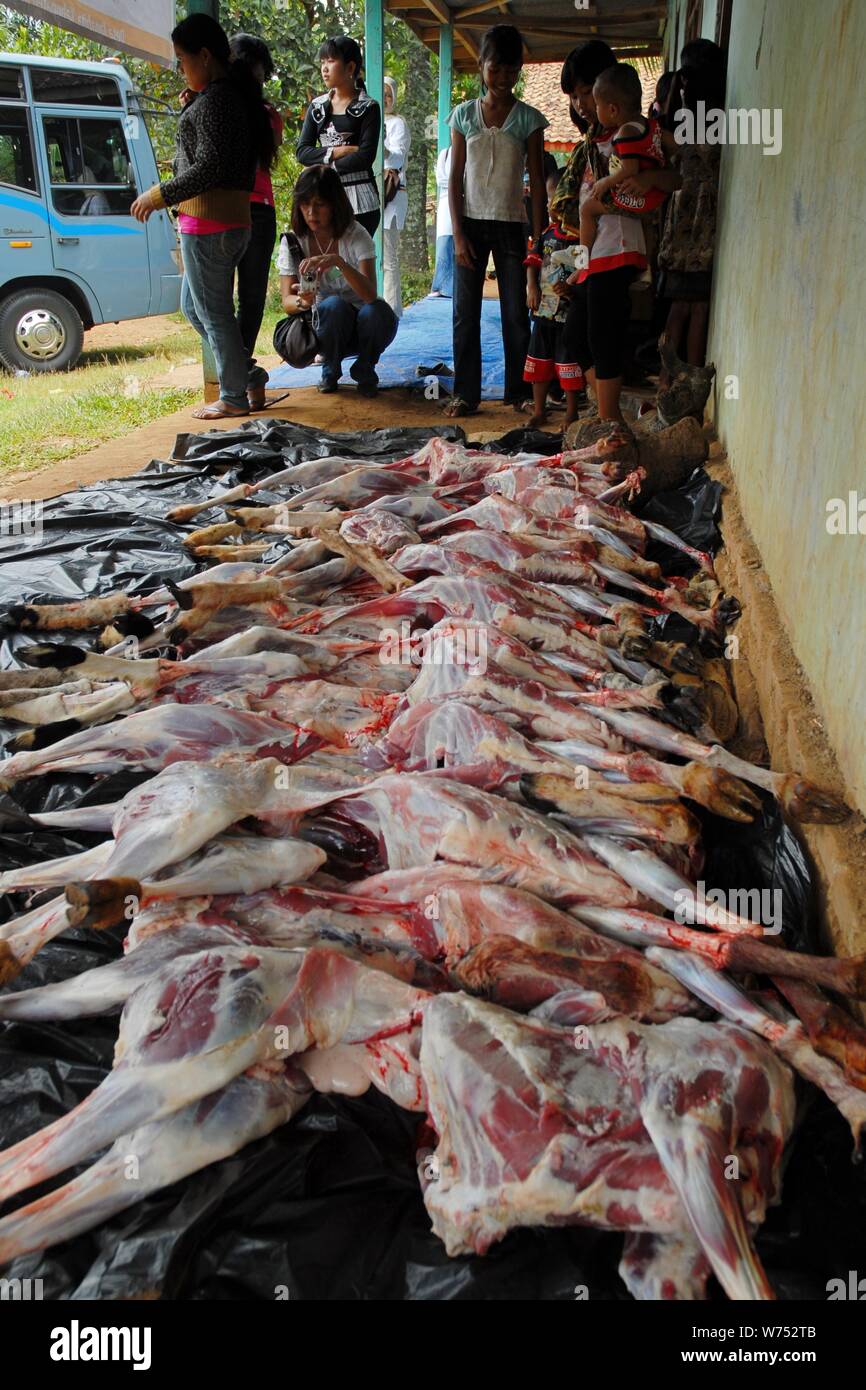 Bogor, West Java, Indonesia - Agosto 2019 : Persone attendere per la loro carne donazione contingente dalla schiera di pelle di agnello in un paese sottosviluppato. Foto Stock