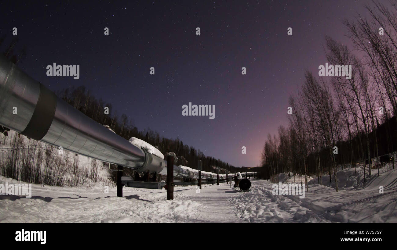 La pipeline dell'Alaska sotto il cielo notturno Foto Stock