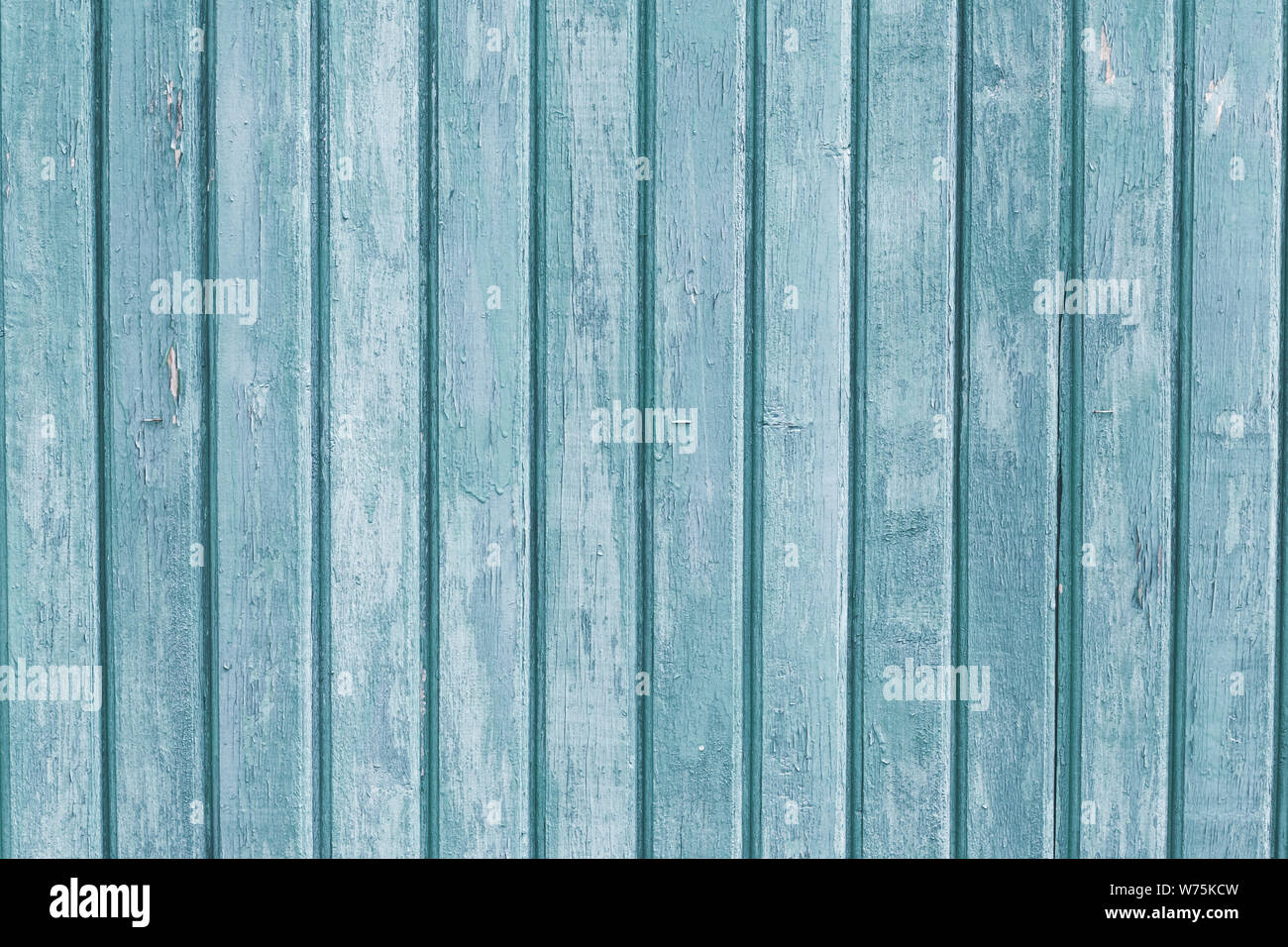 Strette tavole di legno. Grigio e blu chiaro legno pannelli verticali. Weathered colorata antica recinzione. Trama ruvida. Striping sfondi di legno. Natural Foto Stock