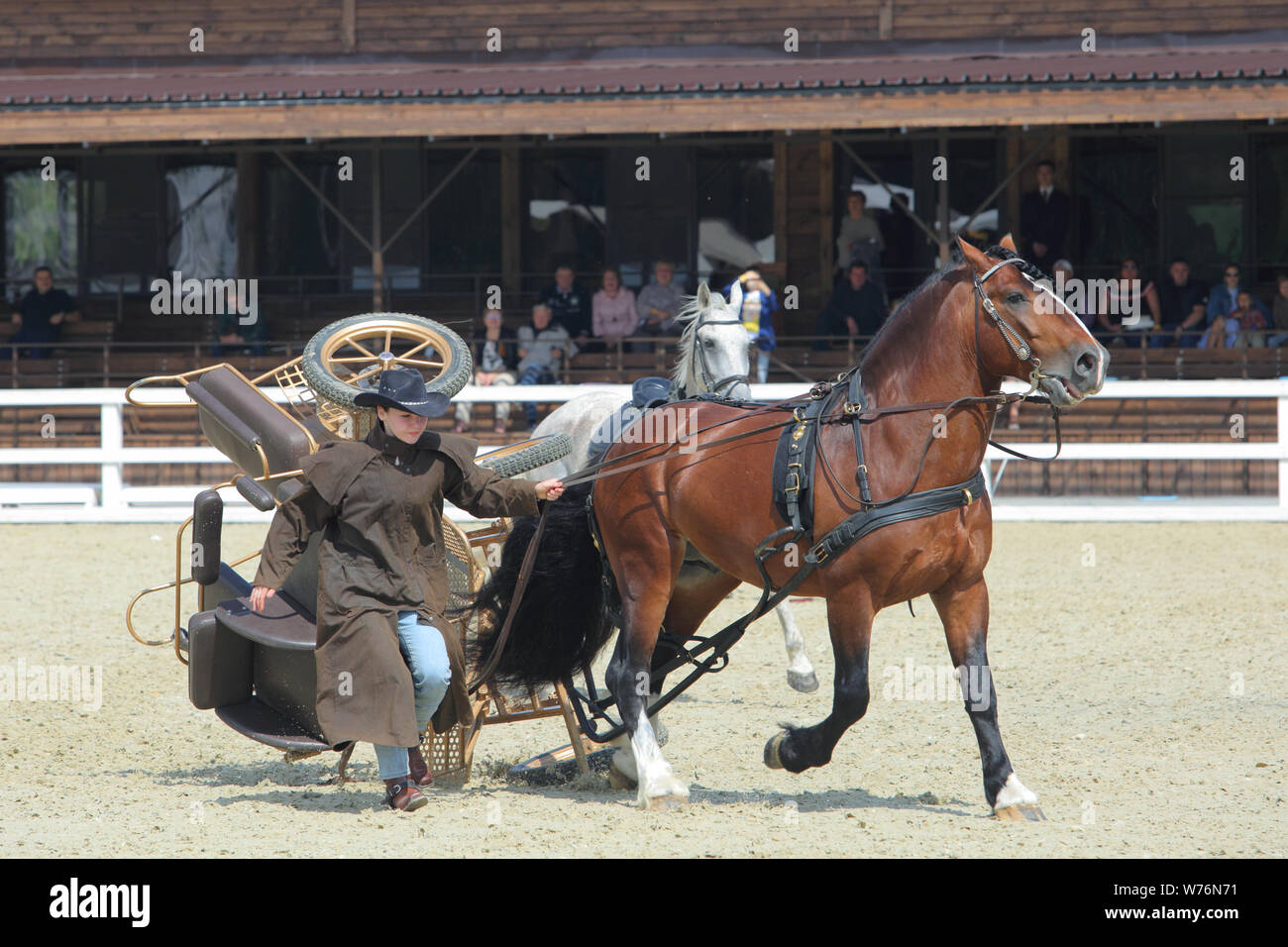 Seriamente carrozze trainate da cavalli si blocca al Festival occidentale Foto Stock