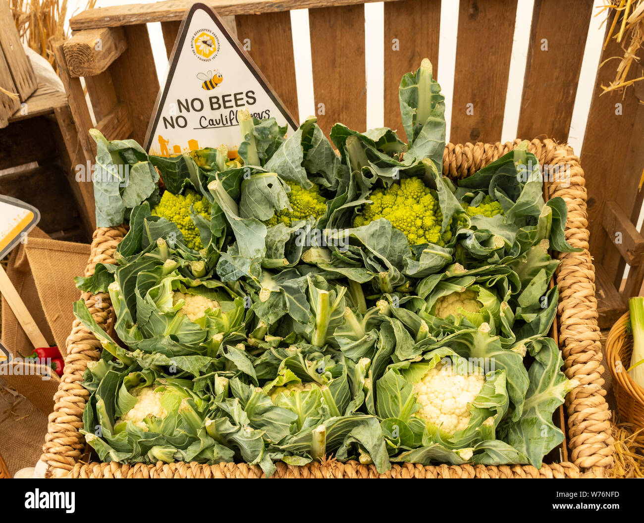 Cesto di cavolfiori con segno No api n. i cavolfiori, all'interno del British apicoltori associazione marquee alla Countryfile Live Show 2019, REGNO UNITO Foto Stock