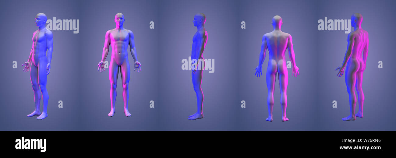 3D rendering illustrazione della collezione umana Foto Stock