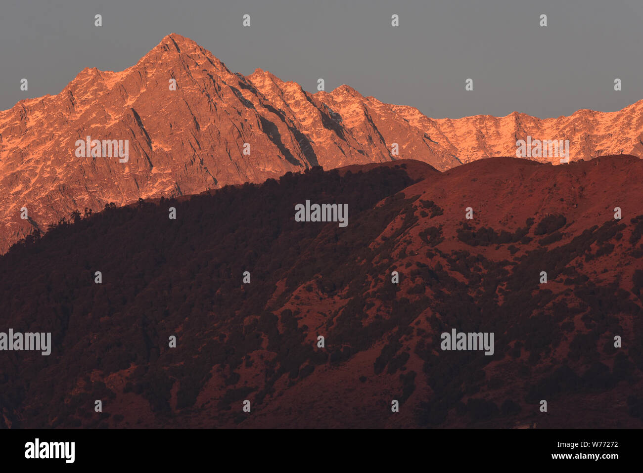 Sunset glow oltre i Monti Dhauladhar, parte della parte inferiore della gamma Himalayana, McLeodganj, distretto di Kangra, Himachal Pradesh, India del Nord, Asia. Foto Stock Sunset glow oltre i Monti Dhauladhar, parte della parte inferiore della gamma Himalayana, McLeodganj, distretto di Kangra, Himachal Pradesh, India del Nord, Asia. Foto Stock