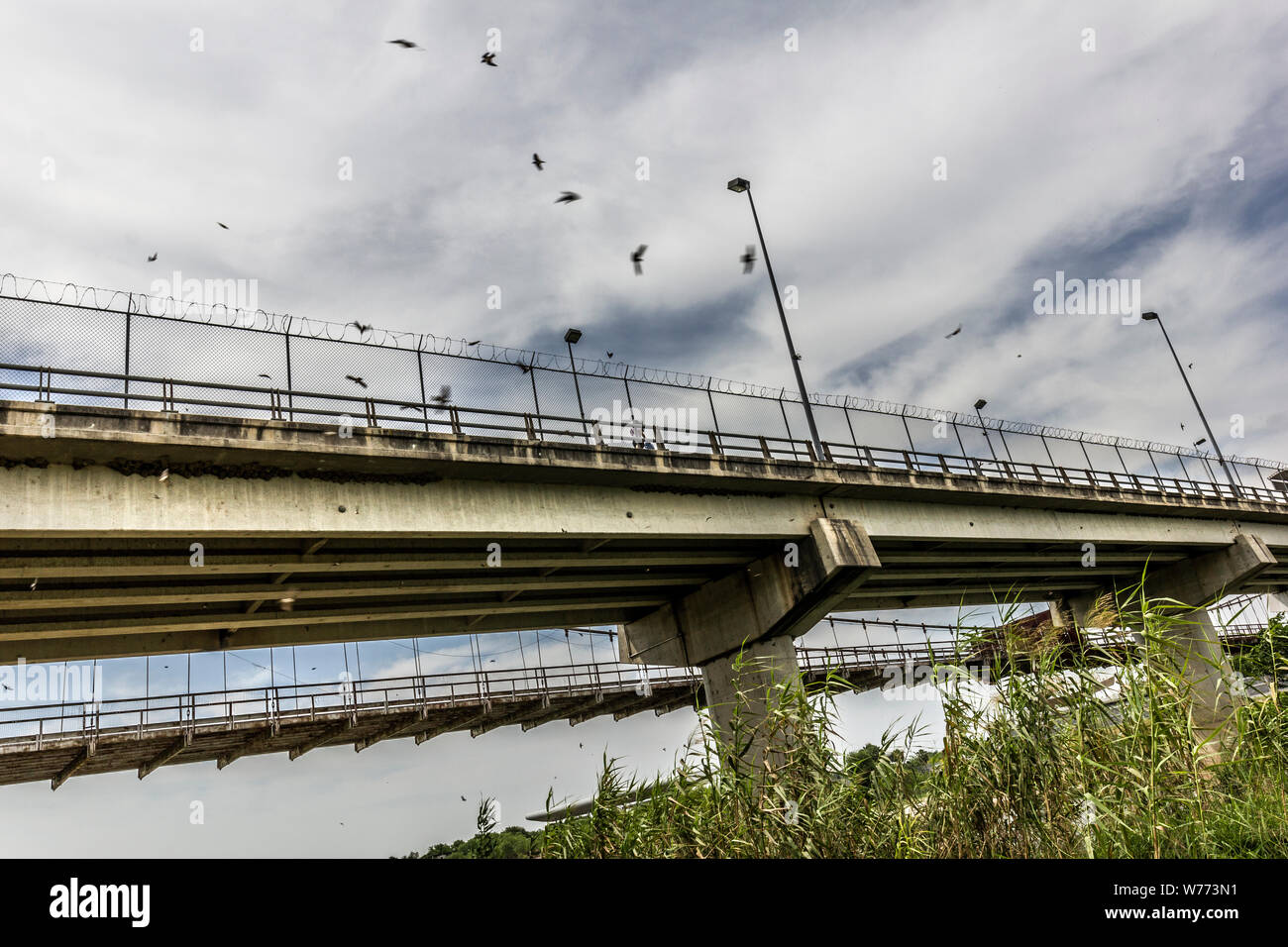 Gli uccelli il circle Roma-Ciudad Miguel Aleman International ponte che attraversa il Rio Grande e il Messico-frontiera degli Stati Uniti, è visto da Roma, Texas, Stati Uniti d'America Foto Stock