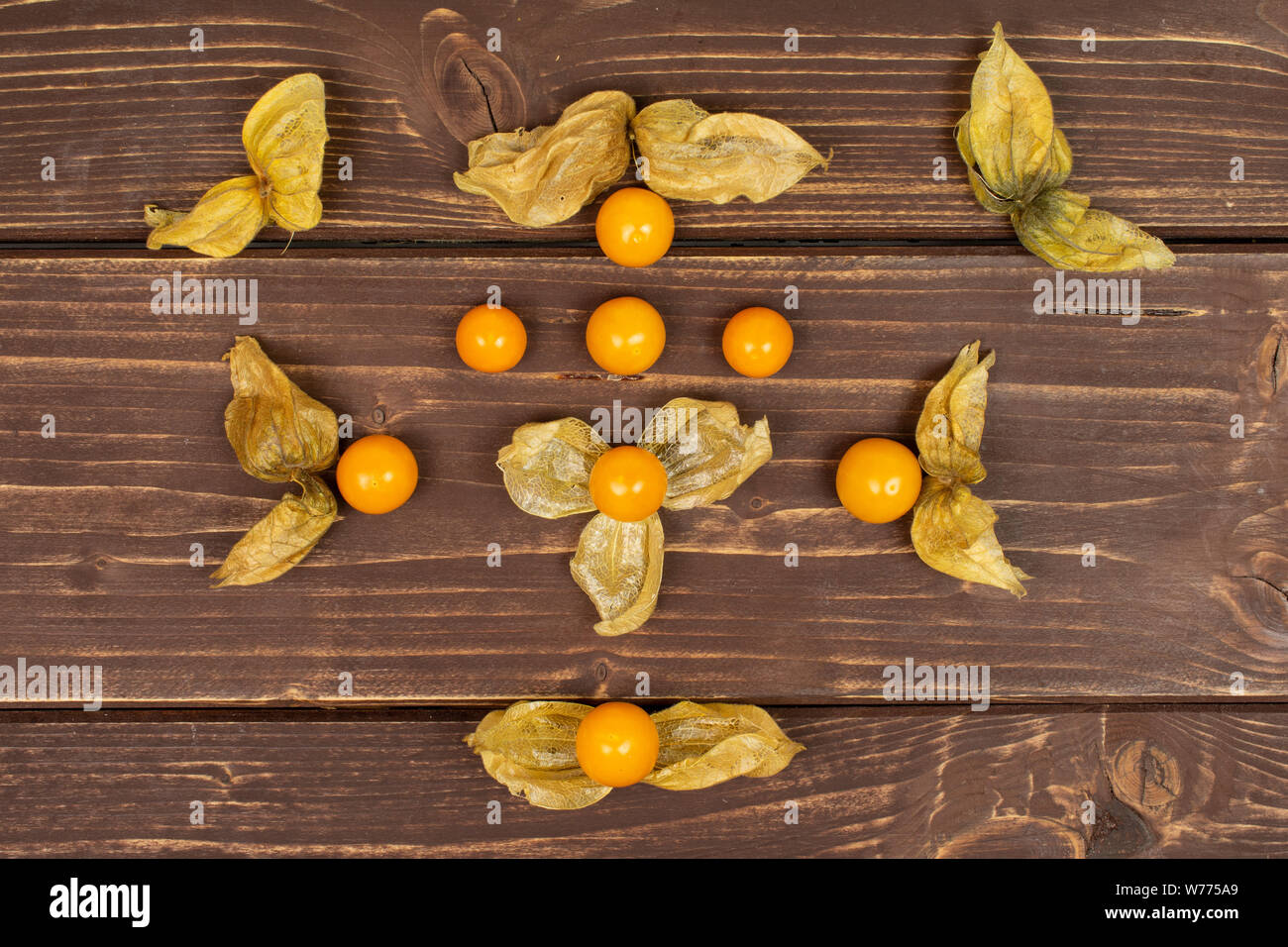 Gruppo di lotto intero di due pezzi di arancia fresca physalis disposti simmetricamente flatlay su legno marrone Foto Stock