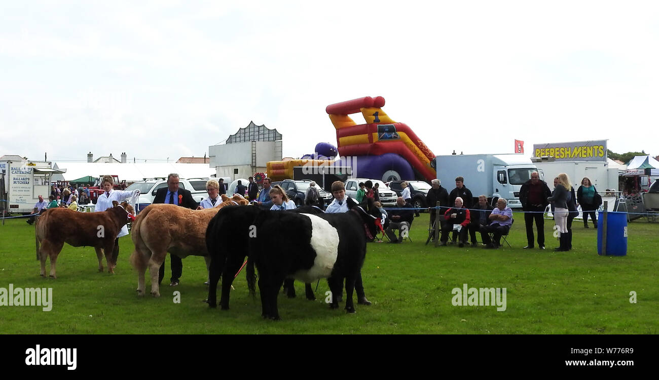 A giudicare il bestiame a Stranraer, Scozia, mostra annuale Luglio 2019 Foto Stock