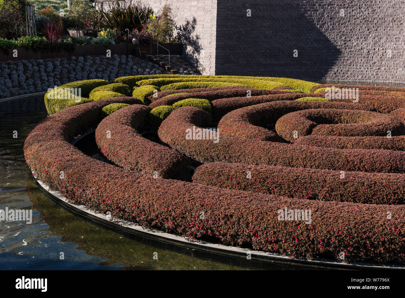 Un labirinto di siepi presso il Getty Center di Los Angeles, California, uno dei due musei di arte che sono parte del Getty Museum descrizione fisica: 1 Foto : Digital, file TIFF a colori. Note: titolo, data e parole chiave fornite dal fotografo.; il Getty Center, nel quartiere di Brentwood, dispone di una raccolta di arte occidentale dal Medio Evo al presente.; Foto Stock