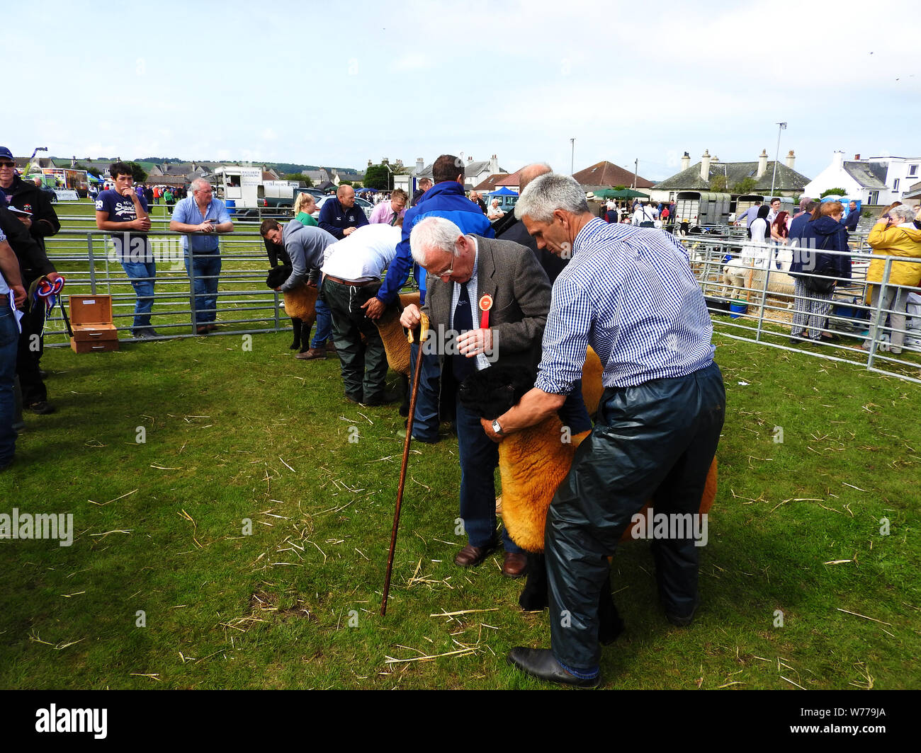 Stranraer, Scozia - a giudicare le pecore presso la mostra annuale Luglio 2019 Foto Stock