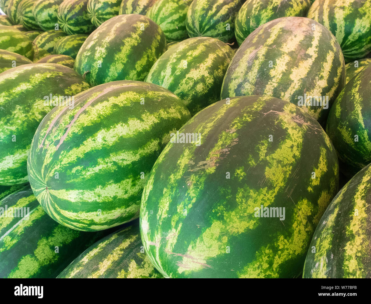 Righe di fresco a strisce verdi cocomeri impilati sul mercato contatore. Foto Stock