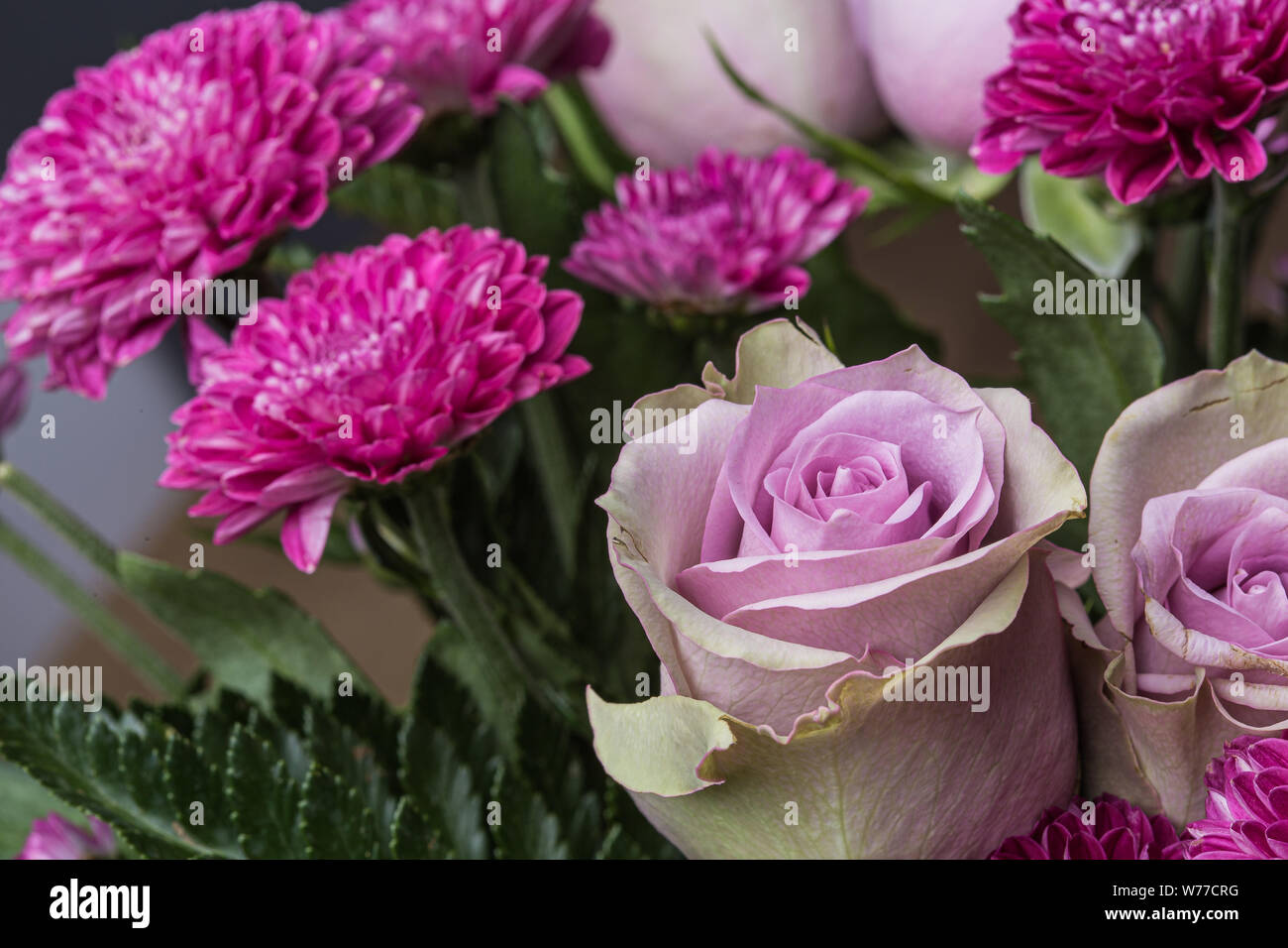 Rosa luminoso di fiori di rose ancora macro su un mazzo di fiori Foto Stock