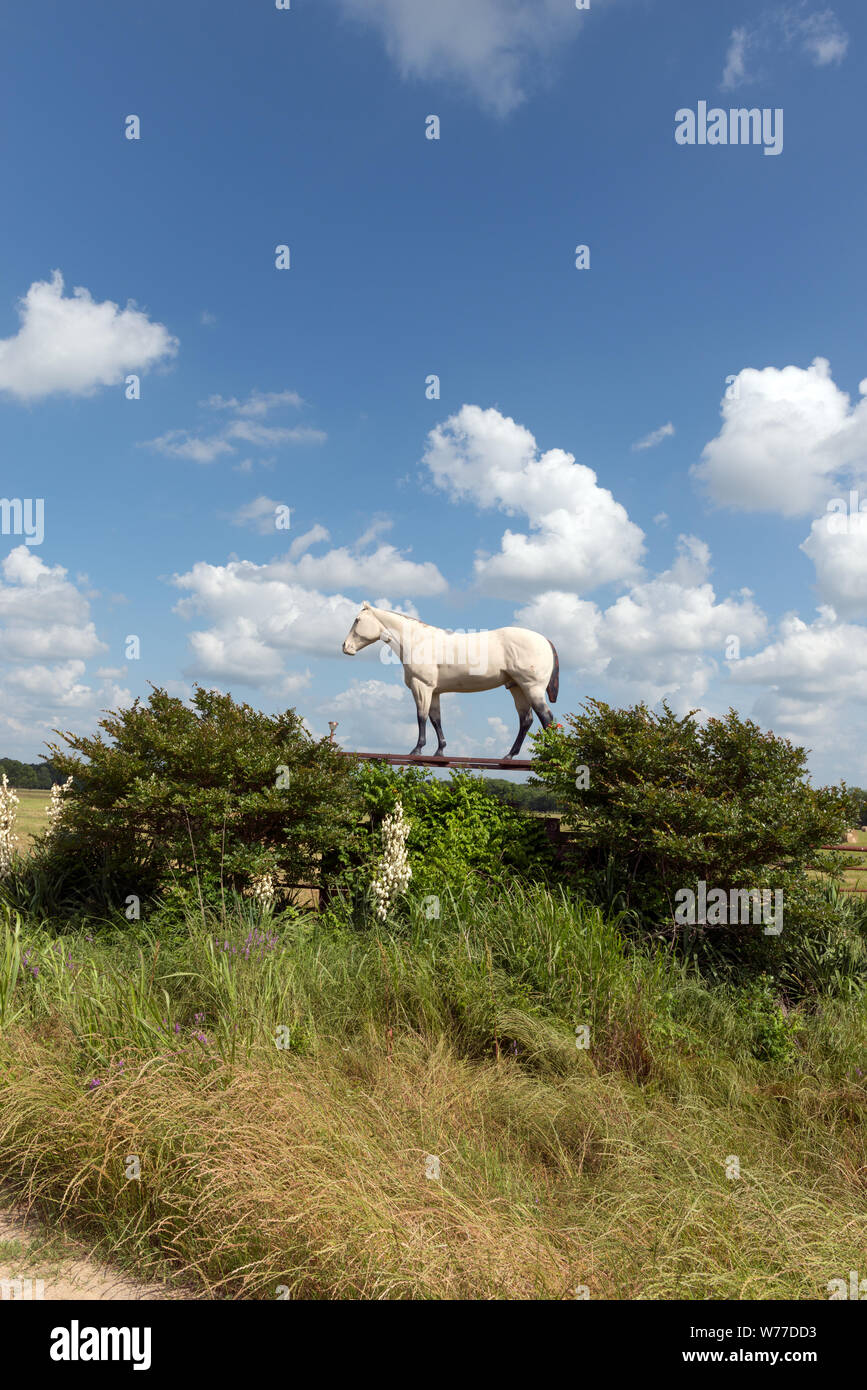 Una sorta di visual ode a cavallo nei pressi dell'ingresso alla fattoria di Hopkins County, Texas descrizione fisica: 1 Foto : Digital, file TIFF a colori. Note: titolo, data e parole chiave sulla base di informazioni fornite dal fotografo.; dono; la collina di Lyda Foundation; 2014; (DLC/PP-2014:054).; fa parte di: Lyda Hill Texas raccolta di fotografie in Carol M. Highsmith America del progetto in Carol M. Highsmith Archivio.; Foto Stock