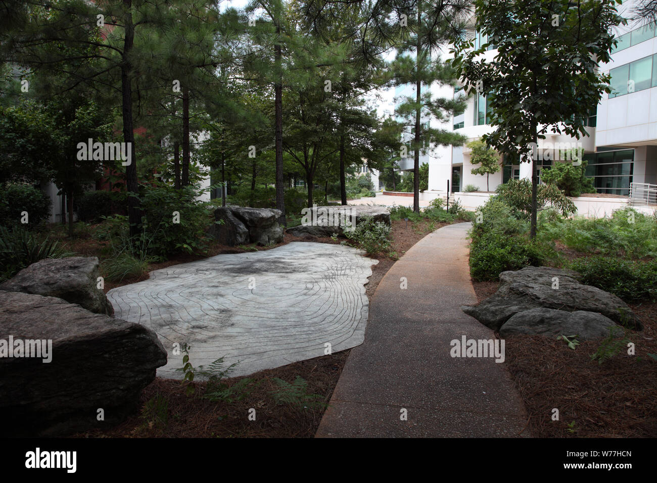 Le zone di cambiamento a Edward R. Roybal edificio (CDC), Atlanta, Georgia, descrizione fisica: 1 Foto : Digital, file TIFF a colori. Note: Dono; Carol M. Highsmith; 2009; (DLC/PP-2009:083).; Artista: Winifred Lutz, 2001, ambientale/Terra Arti architettoniche; fotografato come parte di un incarico per la General Services Administration.; le informazioni relative al titolo, data e oggetto nota fornita dal fotografo.; Foto Stock
