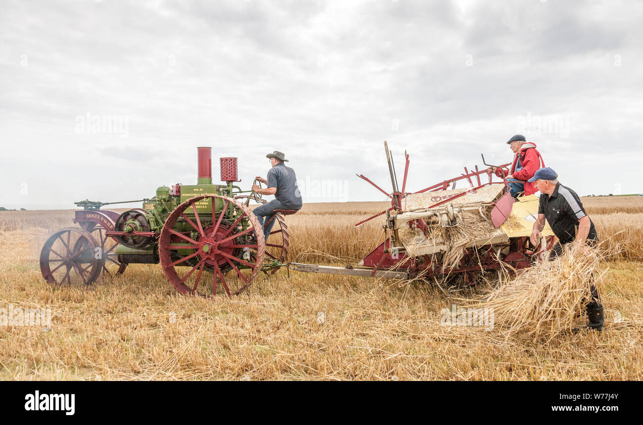 Sandycove Ballinspittle, Cork, Irlanda. 05 Agosto, 2019. Keith Bryan, Cascata, Jack O'Neill da Bandon e Michael Coughlan, Ardfield la mietitura su un 1916 International Mogul al De Courcey Harvest Day che si è tenuto nel corso del mese di agosto durante un weekend di ferie a Sandycove, Ballinspittle, Co. Cork, Irlanda. - Credito; David Creedon / Alamy Live News Foto Stock