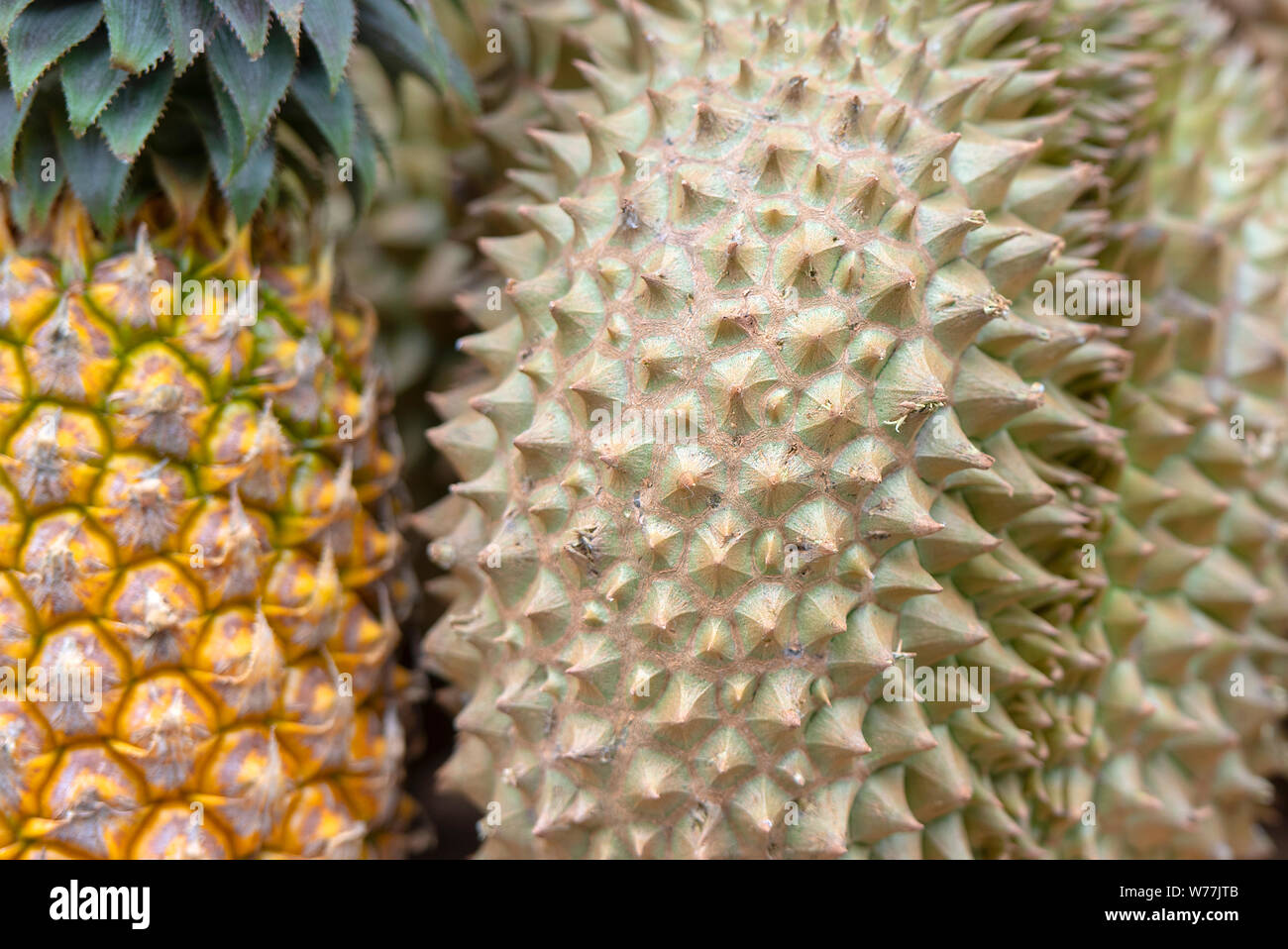 Close-up spine di durian e ananas in un mercato di strada in Thai Thailandia Foto Stock