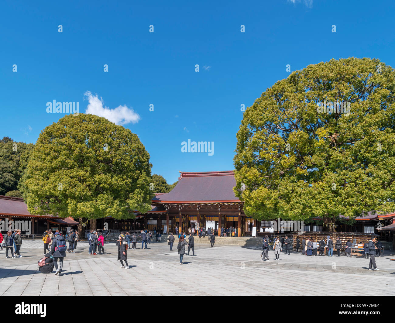 Cortile al Tempio di Meiji (Meiji-jingu), Tokyo, Giappone Foto Stock