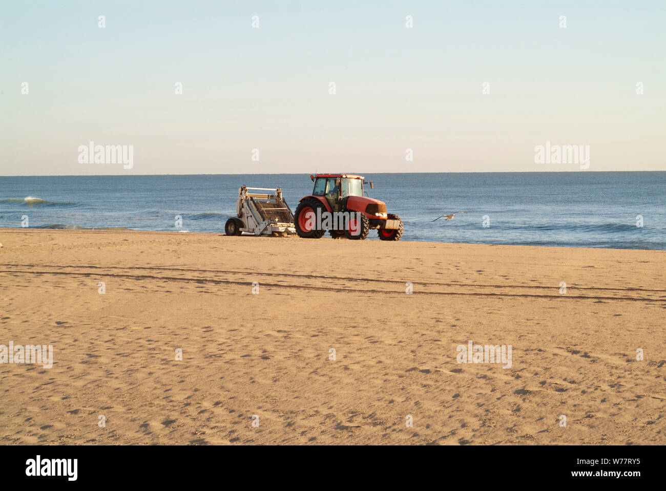 SPAZZATA mattutina: Un trattore con un dispositivo di vagliatura collegato pulisce e rimuove i rifiuti dalla spiaggia della Virginia nelle prime ore dell'alba. Foto Stock