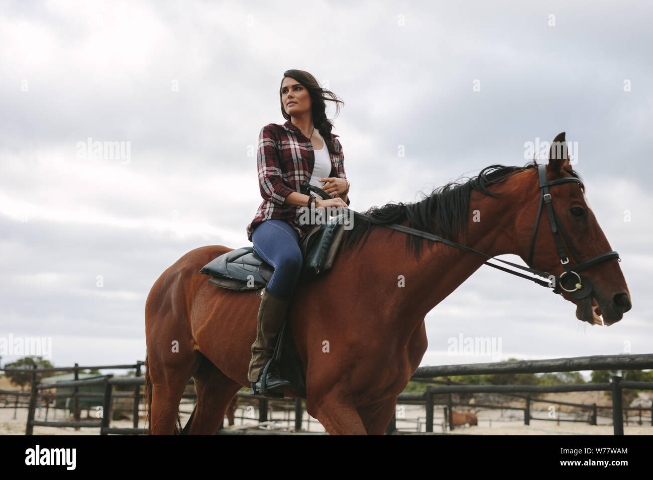 Giovane donna seduta sul suo cavallo e guardando lontano. Femmina di equitazione jockey il suo cavallo nel recinto. Foto Stock
