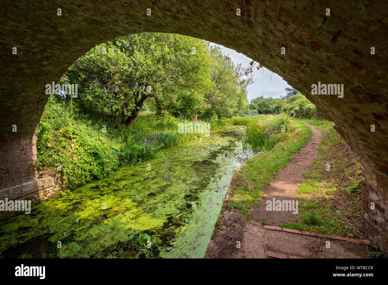 Una vista attraverso il canale Wildmoorway ponte sul Tamigi in disuso e Severn Canal nel Cotswold Water Park, Inghilterra Foto Stock