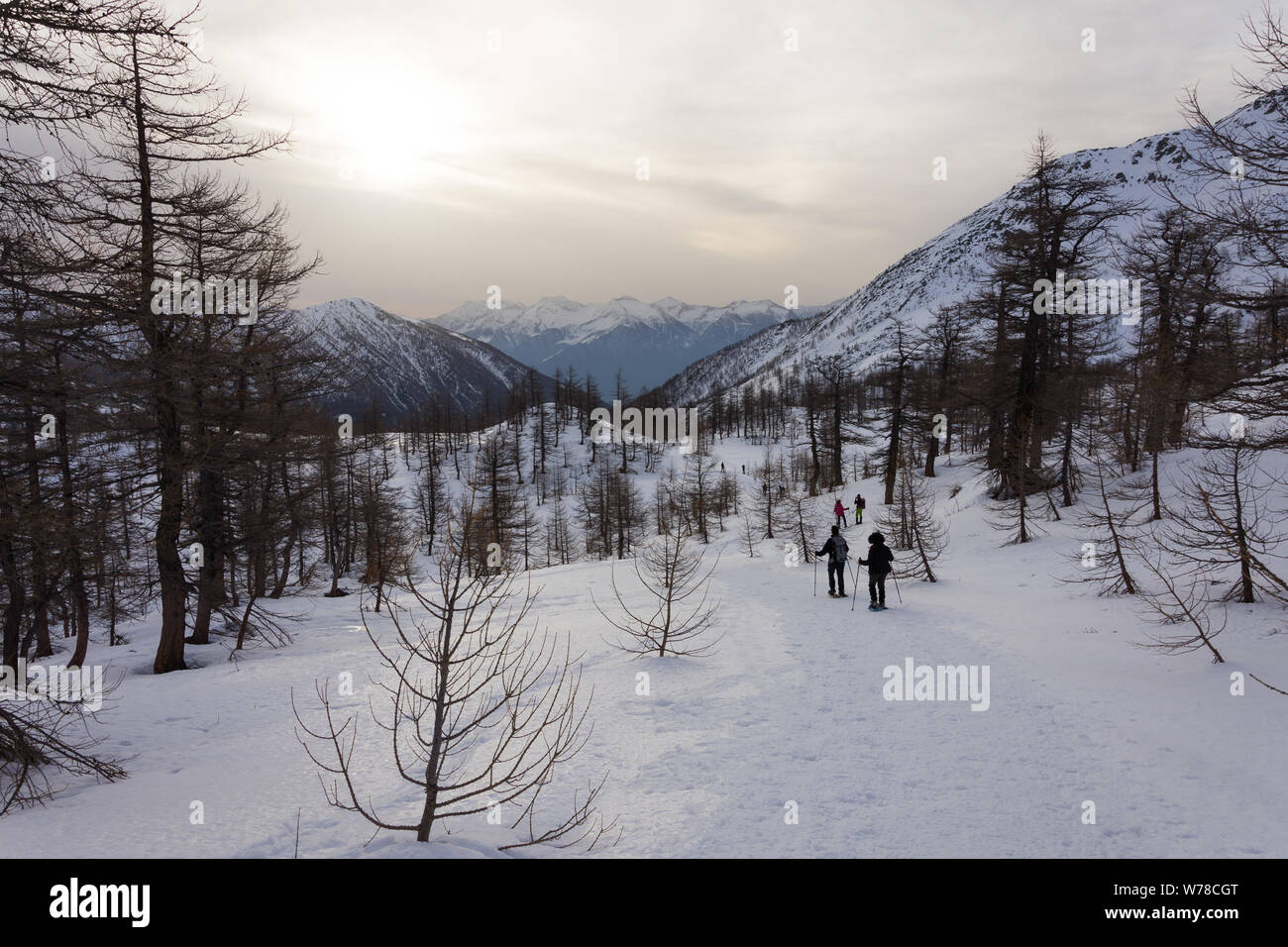 Gruppo di escursionisti trekking tra le montagne delle Alpi. Italia Foto Stock