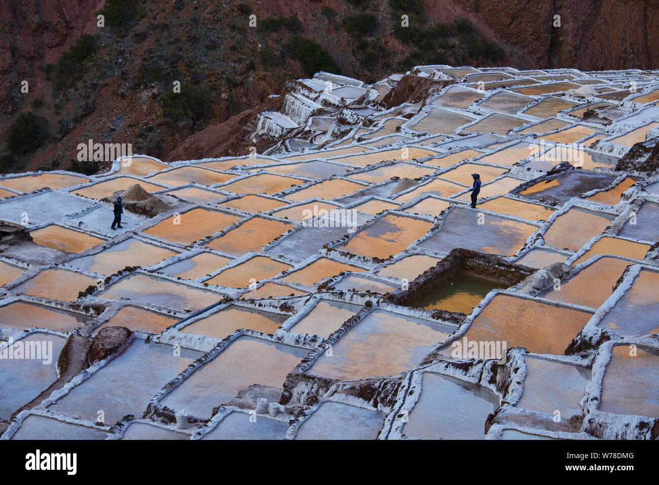 Lavoratore presso le saline di Maras, Valle Sacra, Perù Foto Stock