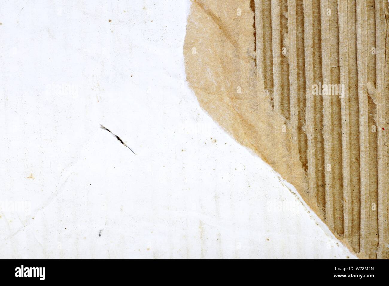 Il cartone Texture di sfondo, lo spazio per il tuo testo o il design Foto Stock