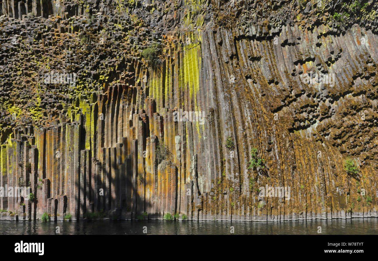 O: Douglas County, Cascades Range, Soda Springs colonne di basalto. Il North Umpqua River viene eseguito al di sotto di una scogliera di colonne di basalto Foto Stock