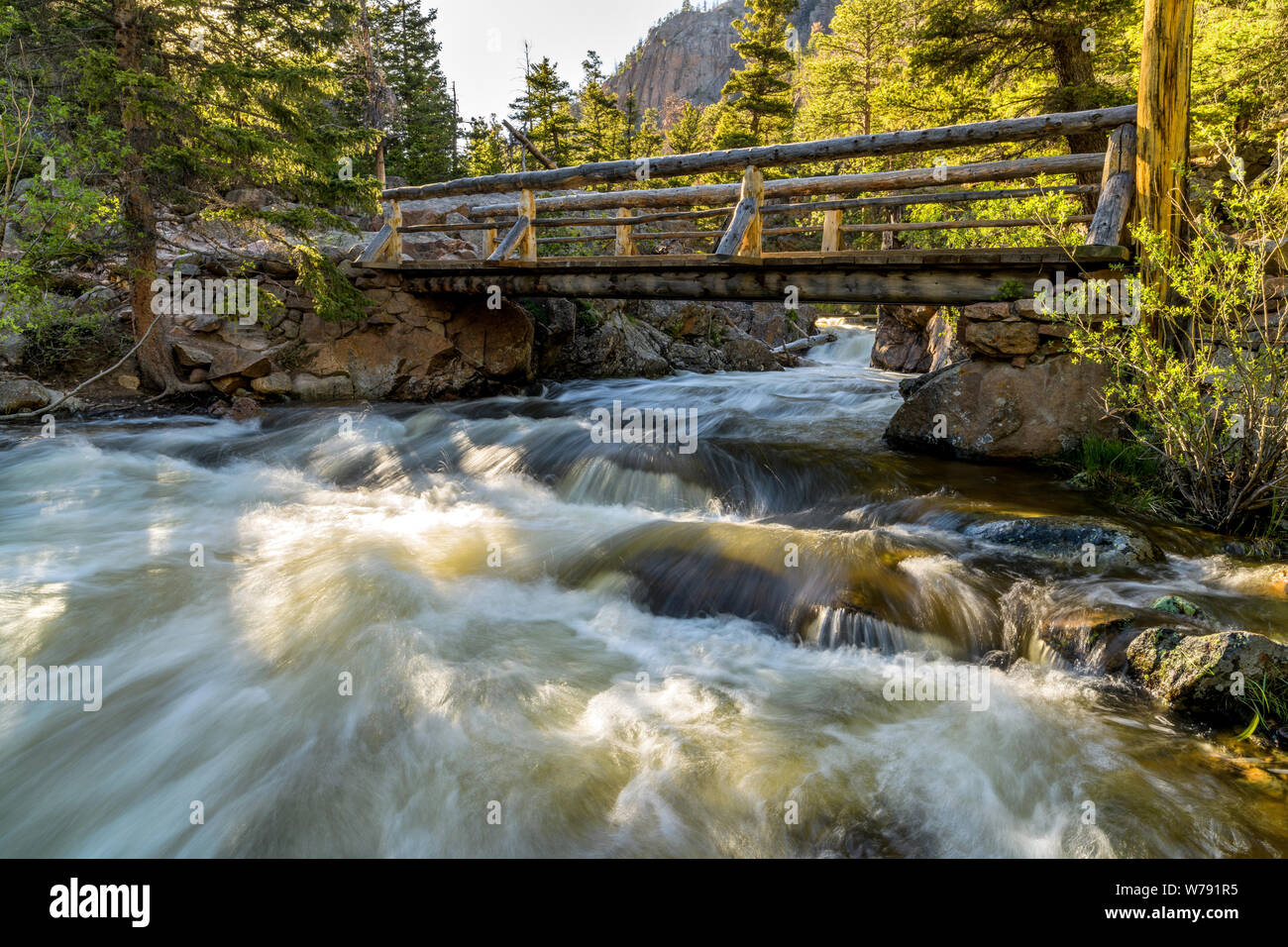 La piscina - una molla vista serale di rapida grande Thompson River correre verso il basso al di sotto di un ponte di legno presso la piscina di felce Lago Trail. RMNP, Colorado, Stati Uniti d'America. Foto Stock