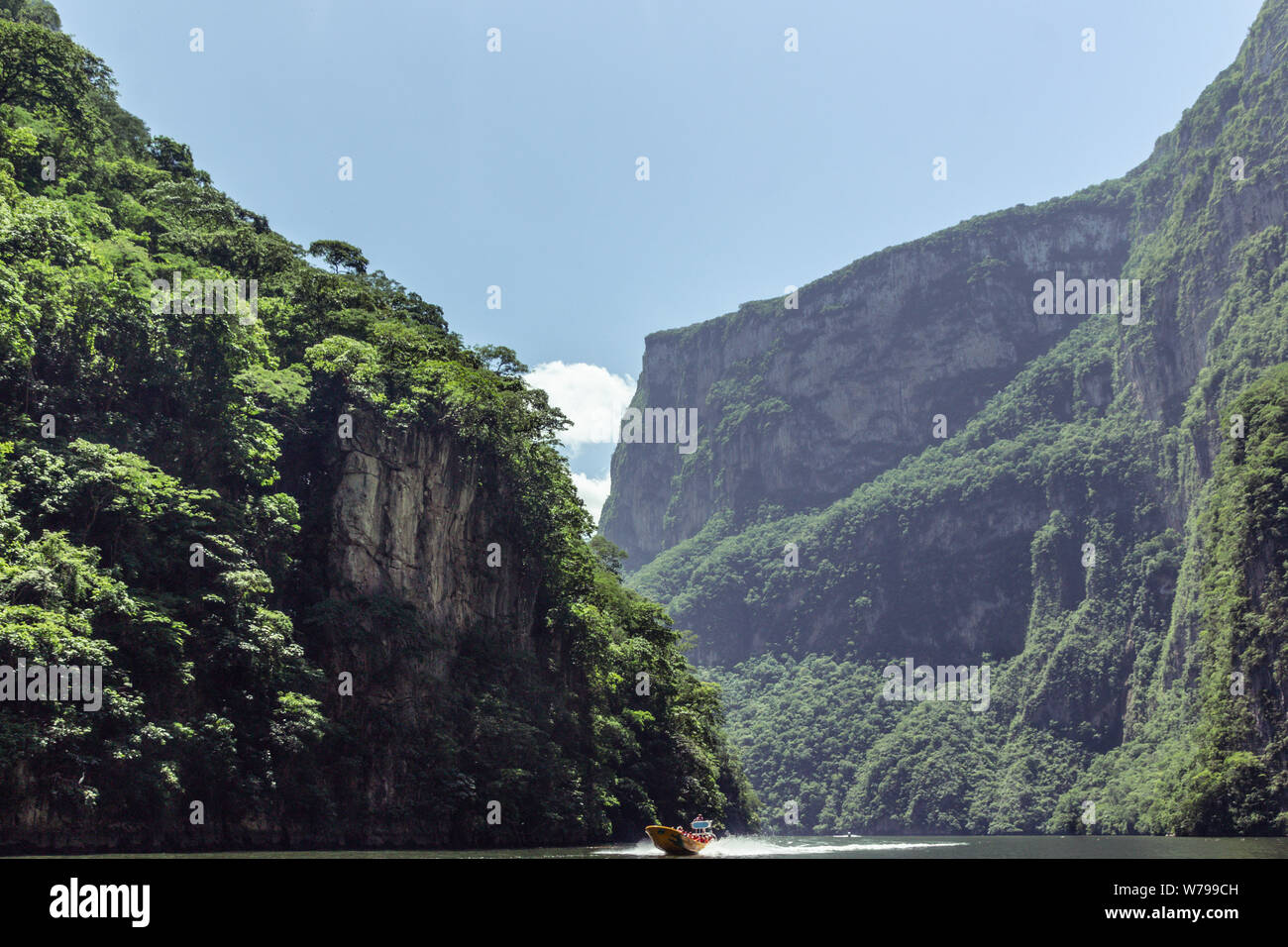 Dettaglio fotografia del Sumidero canyon in Chiapas Foto Stock