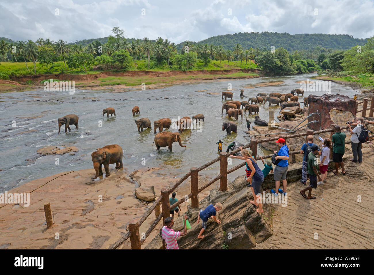 Mawanella, Sri Lanka - Luglio 9, 2016: turisti guardando gli elefanti di balneazione in un fiume. Foto Stock