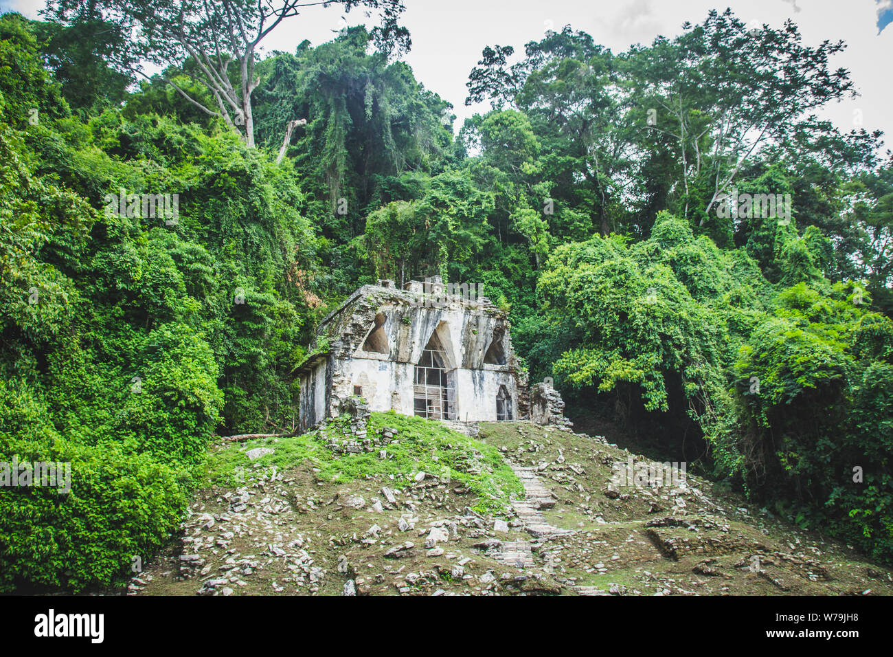 Palenque, Chiapas / Messico - 21/07/2019: dettaglio della archeologico pre ispanica sito Maya di Palenque in Chiapas, Messico Foto Stock