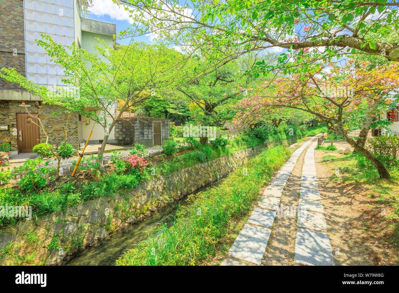 Sentiero in pietra di alberi di ciliegio lungo la passeggiata di Philosopher nella stagione delle spionate. Il Sentiero è un famoso sentiero pedonale nel quartiere di Higashiyama, Kyoto Foto Stock