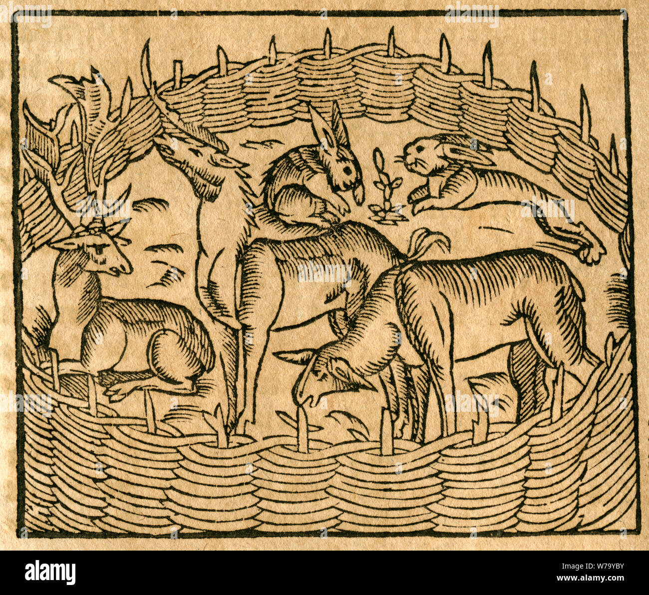 Europa, Ungarn, ungarische Geschichte, Pferch für Tiere, hier Hasen, Hirsche und ein Schaf , Motiv aus der Cosmographia von Sebastian Münster, um 1620 . / Europa, Ungheria, storia ungherese, corral con animali, in questo caso, conigli, cervi e una pecora, immagine dal Cosmographia di Sebastian Münster, intorno al 1620 . Foto Stock