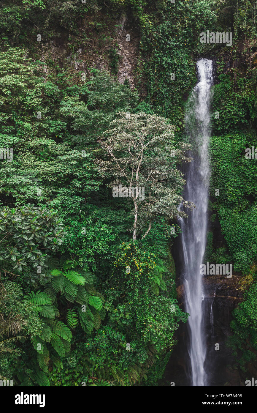 Vista aerea del famoso Sekumpul cascate di Bali, Indonesia. Una giungla tropicale foresta pluviale Foto Stock
