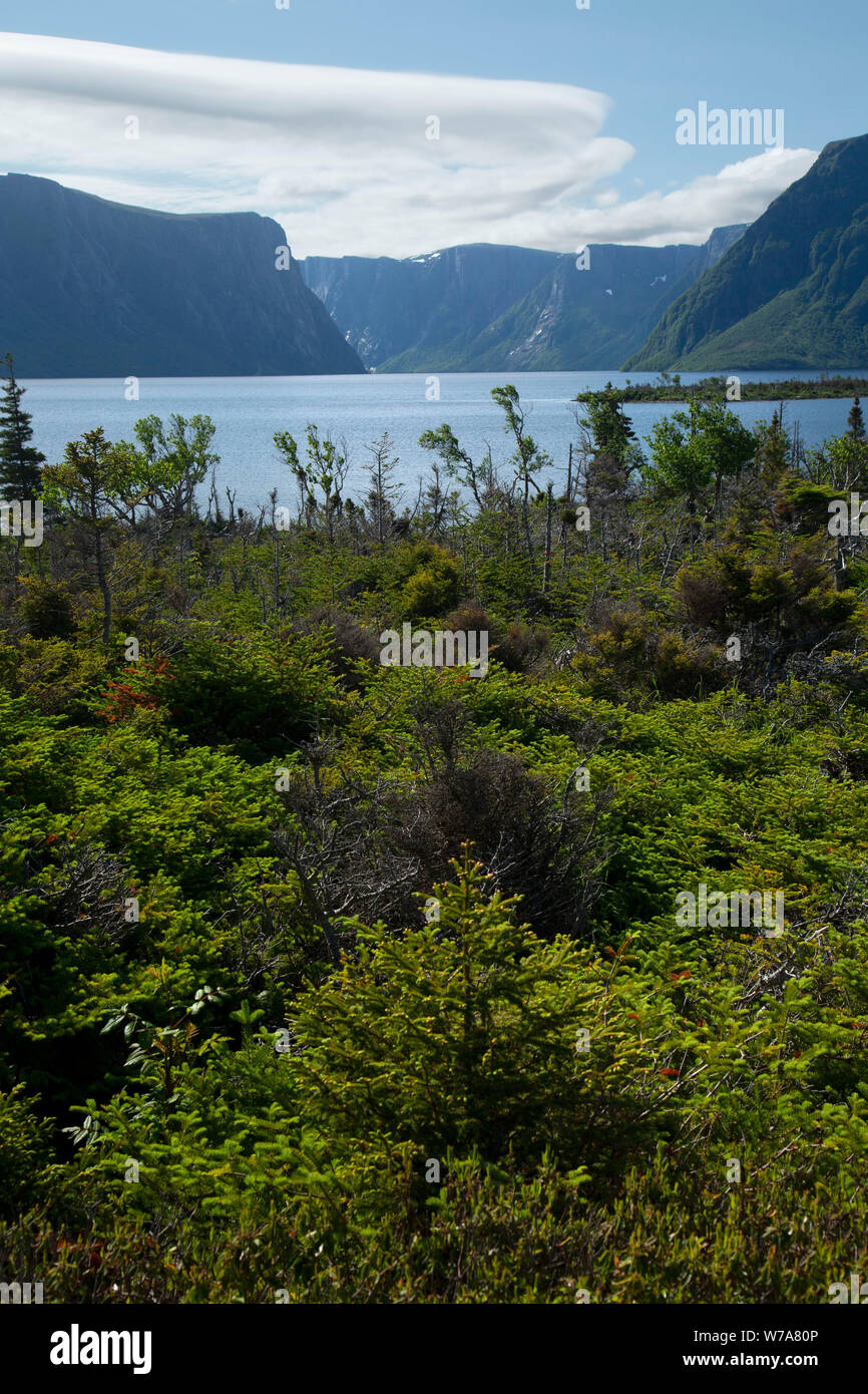 Western Brook Pond da Western Brook Pond Trail, Parco Nazionale Gros Morne, Terranova e Labrador, Canada Foto Stock