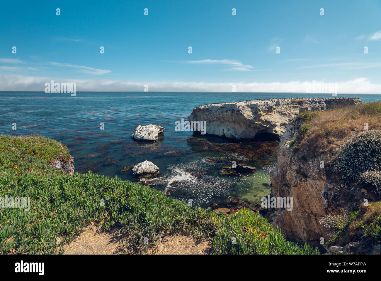 Scogliere, Oceano Pacifico. Shell Beach Area di Pismo Beach, California.bel posto per il Birdwatching, Kayak, snorkeling, pesca Foto Stock