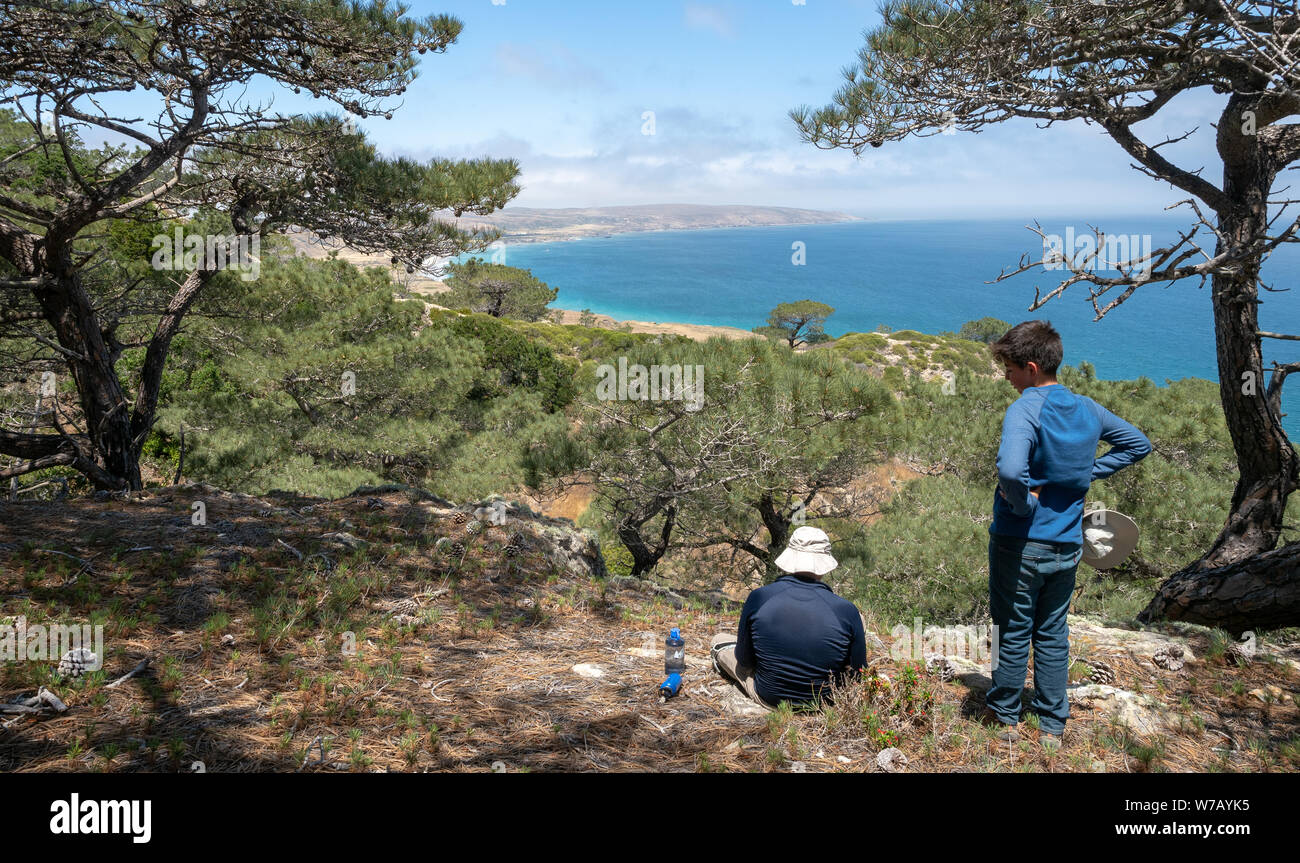 Torry pini escursione, Ranch vicino alla baia di Bechers Pier su una soleggiata giornata di primavera, Isola di Santa Rosa, il Parco Nazionale delle Channel Islands, Ventura, CALIFORNIA, STATI UNITI D'AMERICA Foto Stock