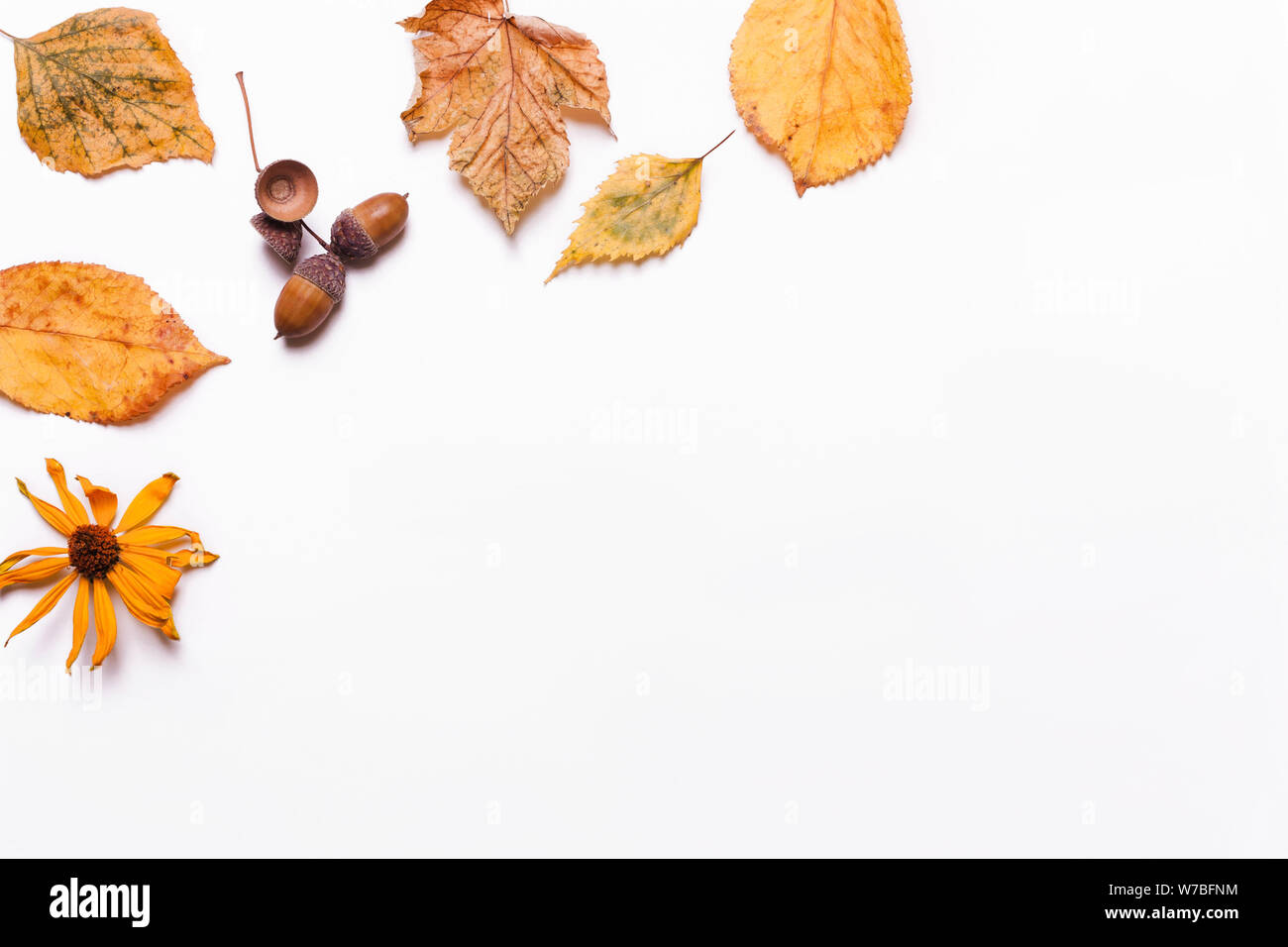 Creative sfondo giallo di foglie secche, acorn, noce, fiori. concetto di autunno. Vista superiore, piatto Foto Stock