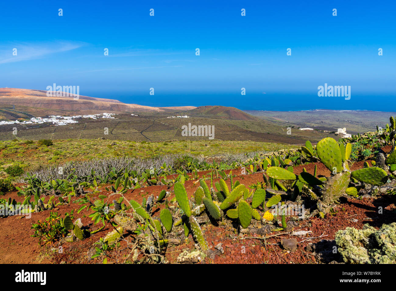 Spagna Lanzarote, secca natura vulcanica del paesaggio verde dietro il cactus sulla corona di vulcano vicino a voi Foto Stock