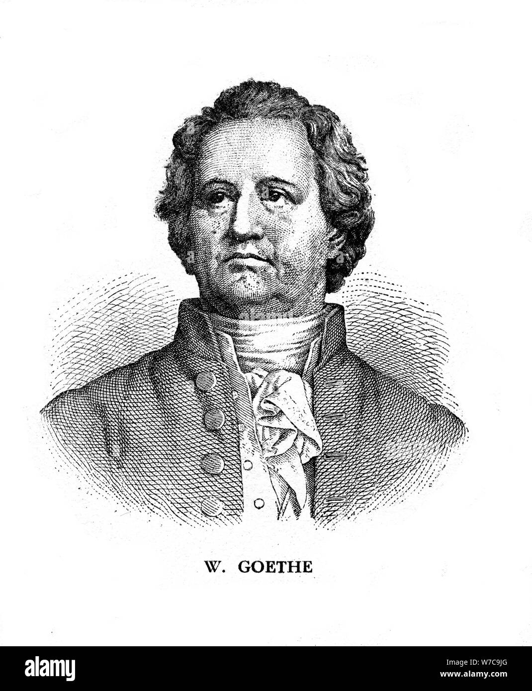 Johann Wolfgang von Goethe, poeta tedesco, drammaturgo e scienziato, xix secolo. Artista: sconosciuto Foto Stock