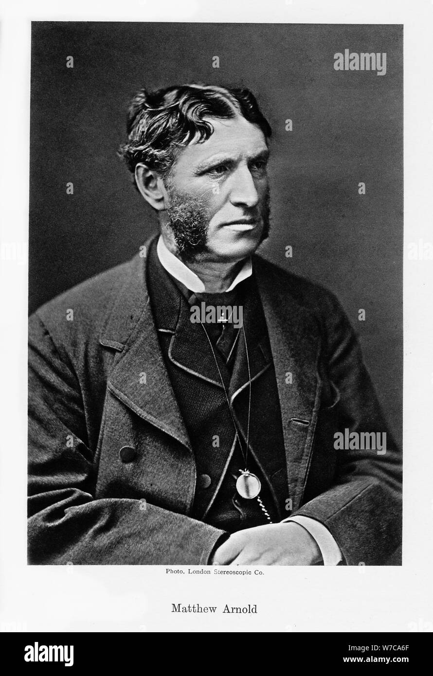 Matthew Arnold, poeta inglese e critico culturale, c1880s.Artista: Londra stereoscopia fotografica & Co Foto Stock