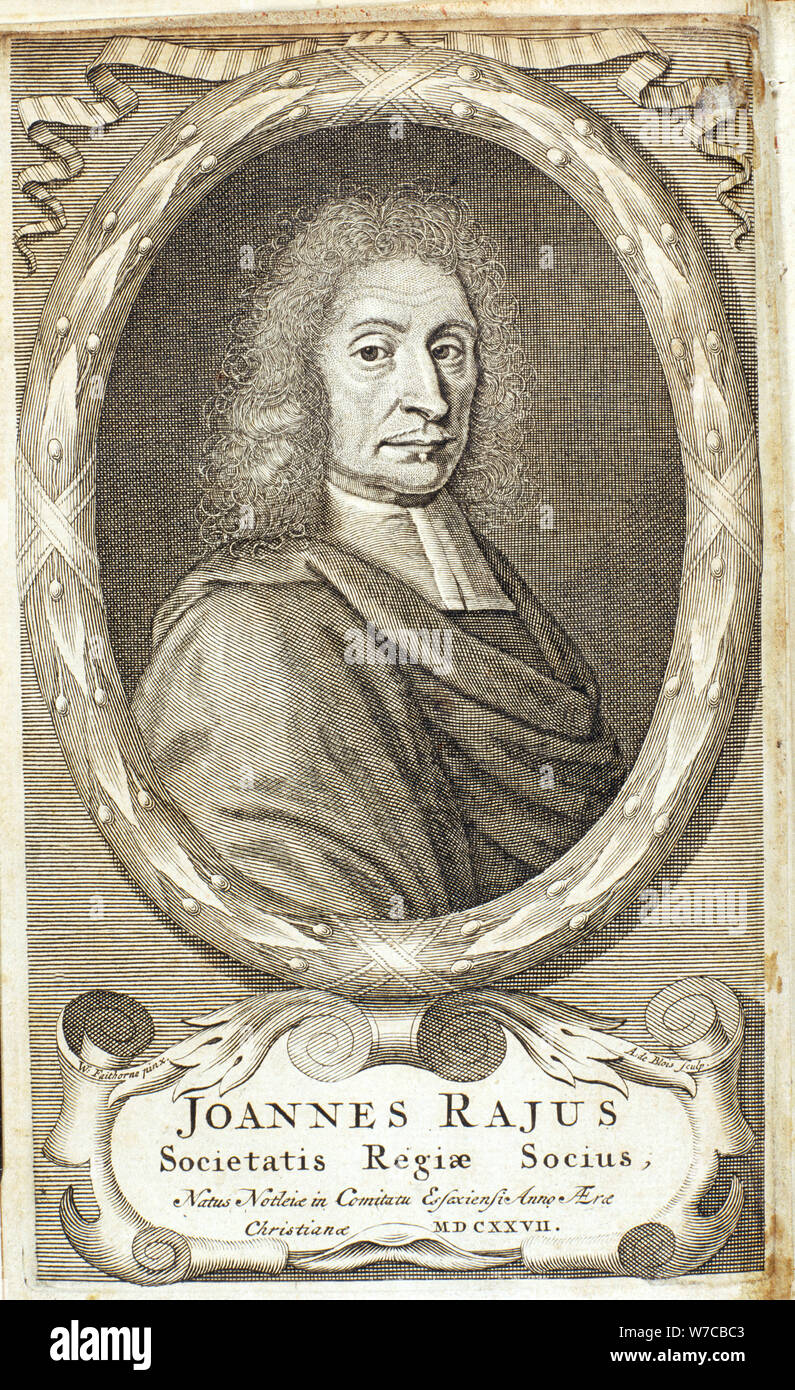 John Ray, naturalista inglese, 1680s. Artista: Abraham de Blois Foto Stock