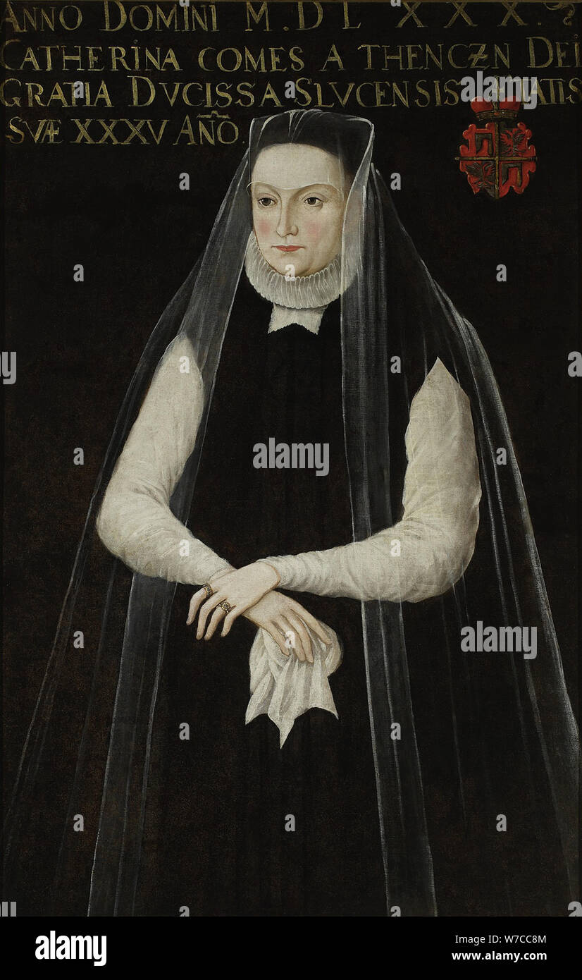 Ritratto di Katarzyna Teczynska (1544-1592), née Slucka. Foto Stock