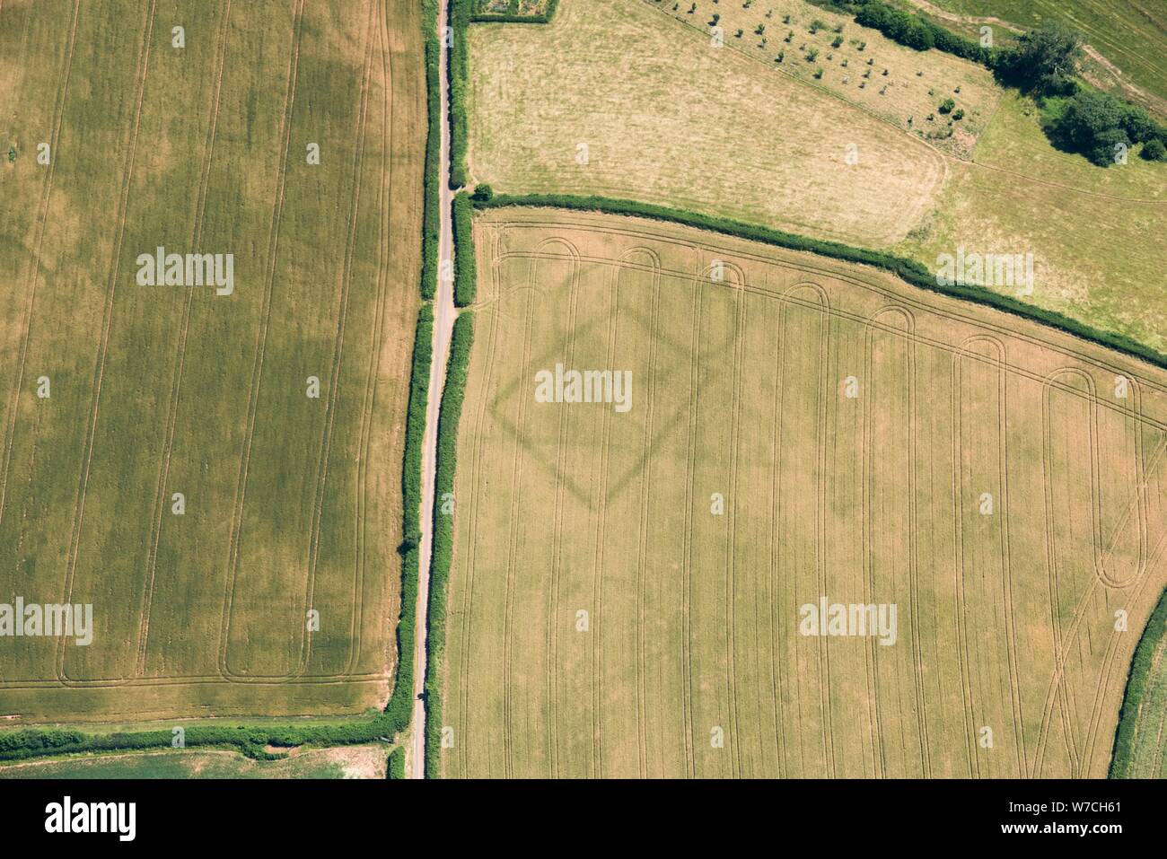 Allevamenti preistorici, Stogumber, Somerset, 2018. Creatore: Storico Inghilterra fotografo personale. Foto Stock