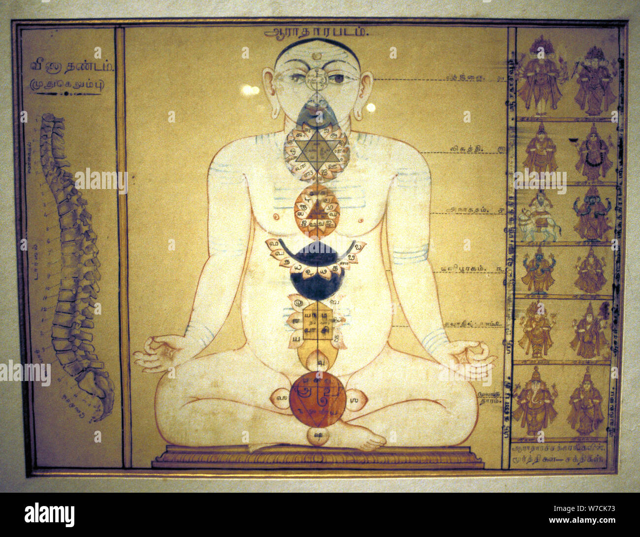 Sei Chakra che rappresenta i plessi del corpo umano, Tanjore, Tamil Nadu, c1850. Artista: sconosciuto Foto Stock