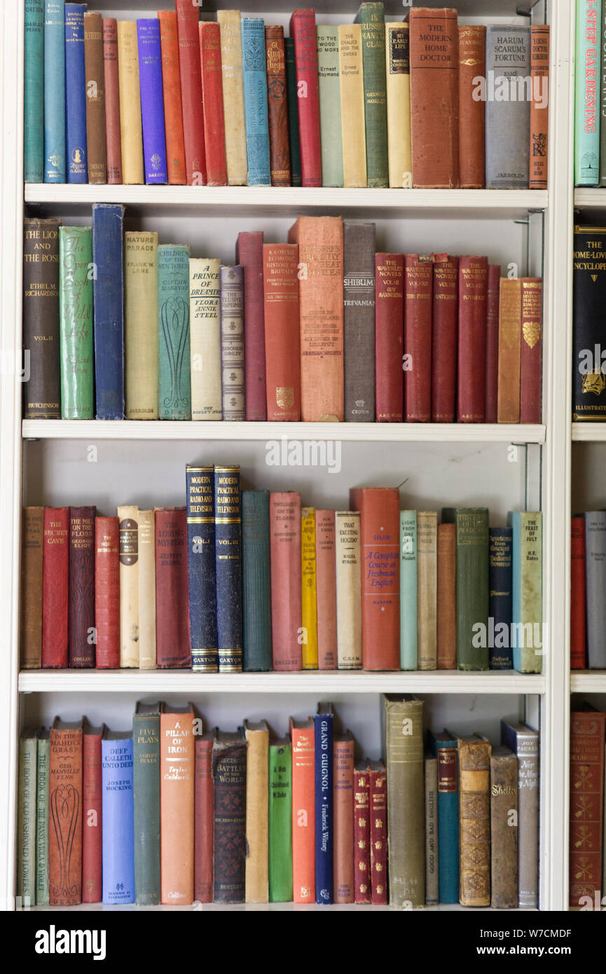 Scaffale pieno di vecchi libri vintage Foto Stock